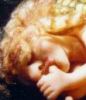 Littlest Baby Faery