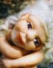 Yellow-Red Wing Faery