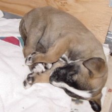 Sleepy baby girl!