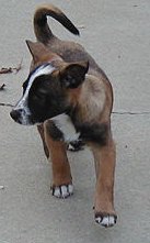 Maddy strolling down the street