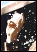 SNOWFIGHT!